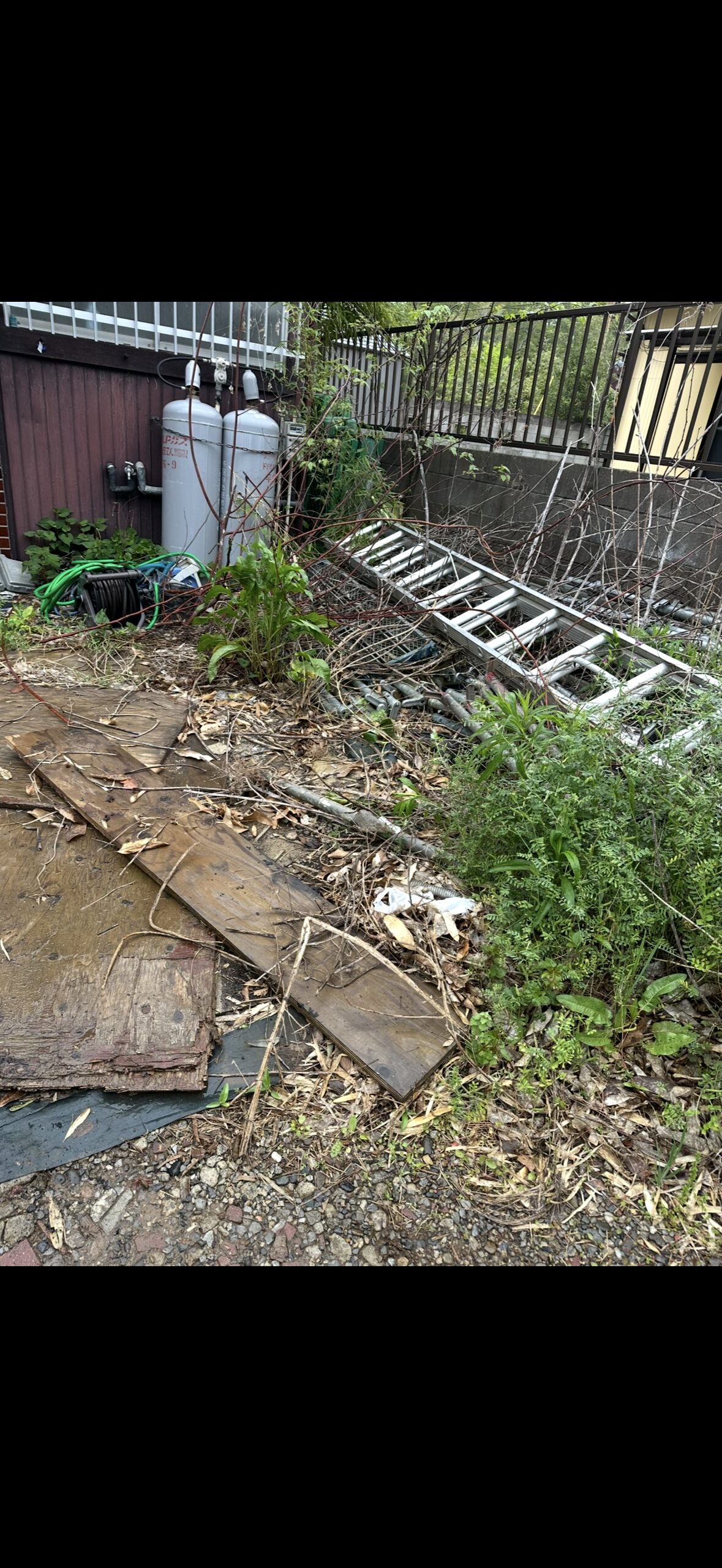 千葉県のゴミ屋敷片付けならキンアリのafter