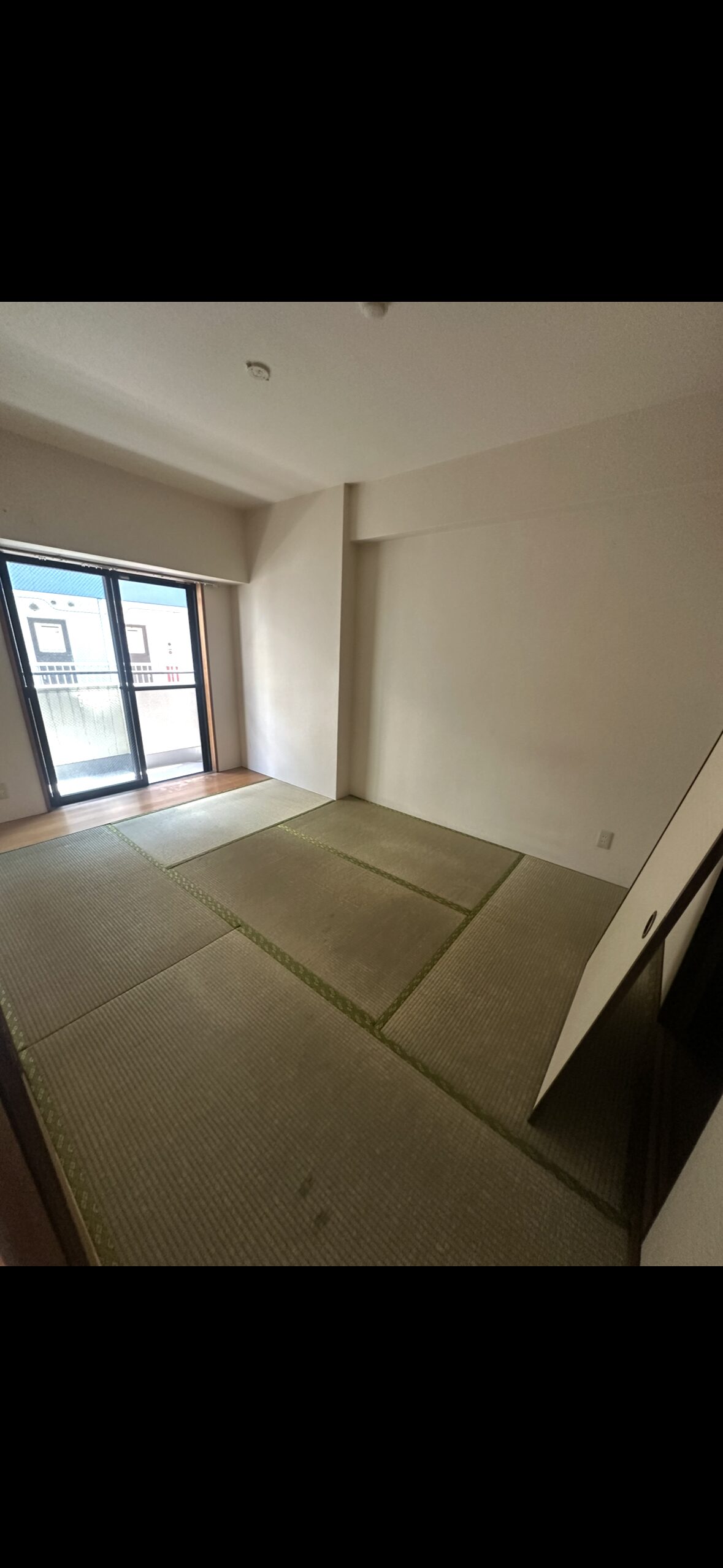 千葉県のゴミ屋敷片付けならキンアリのafter