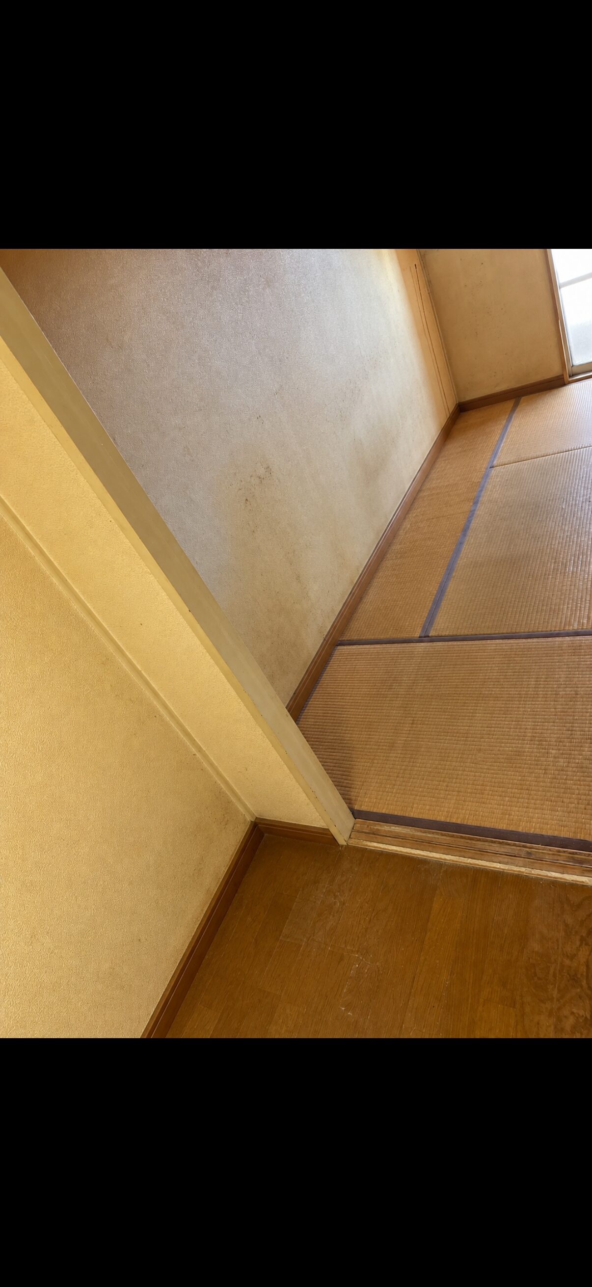 千葉県のゴミ屋敷片付けならキンアリのafter