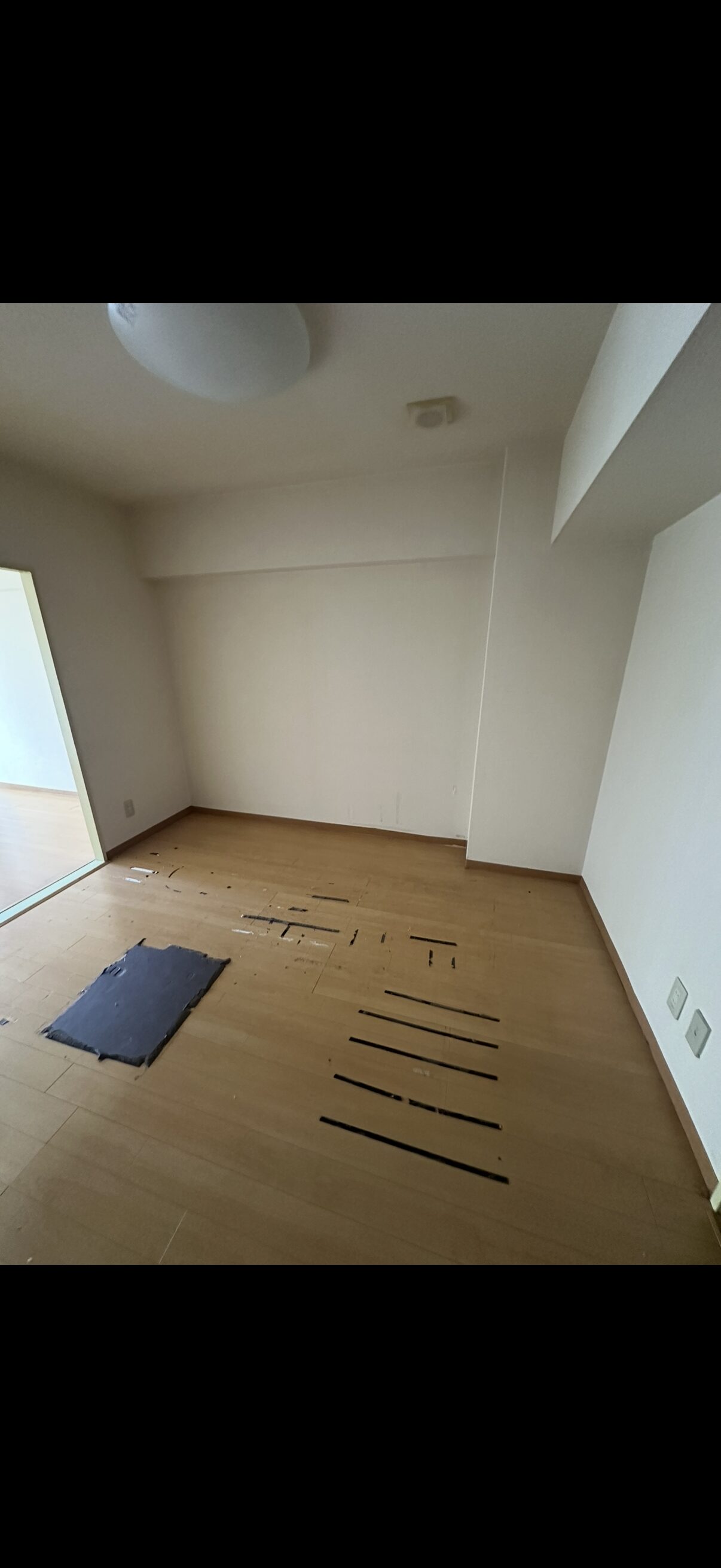 千葉県のゴミ屋敷片付けならキンアリのafter